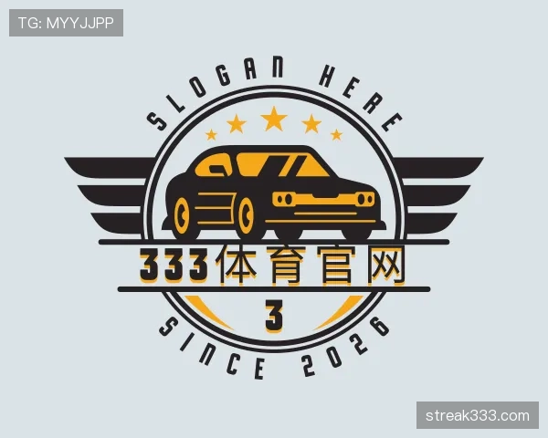 介绍333体育